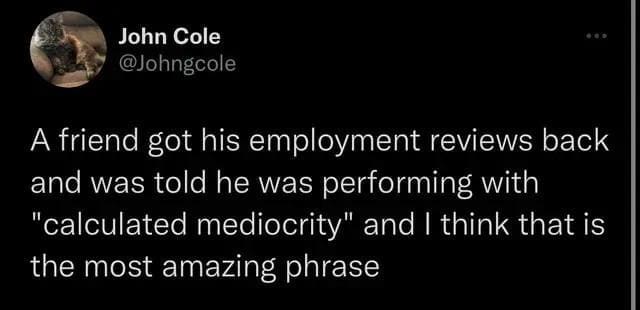 A relatable workplace review tweet featured in a meme dump celebrating an employee whose performance review accused him of "calculated mediocrity."