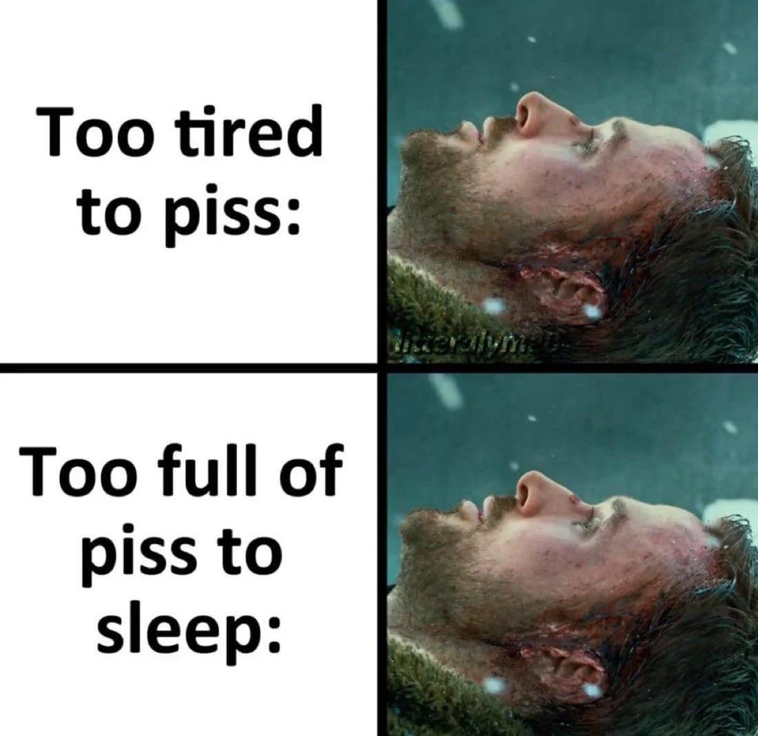Two-panel meme featuring Leonardo DiCaprio in The Revenant illustrating the agonizing late-night conflict of being too tired to get up versus too full to sleep in a funny meme.