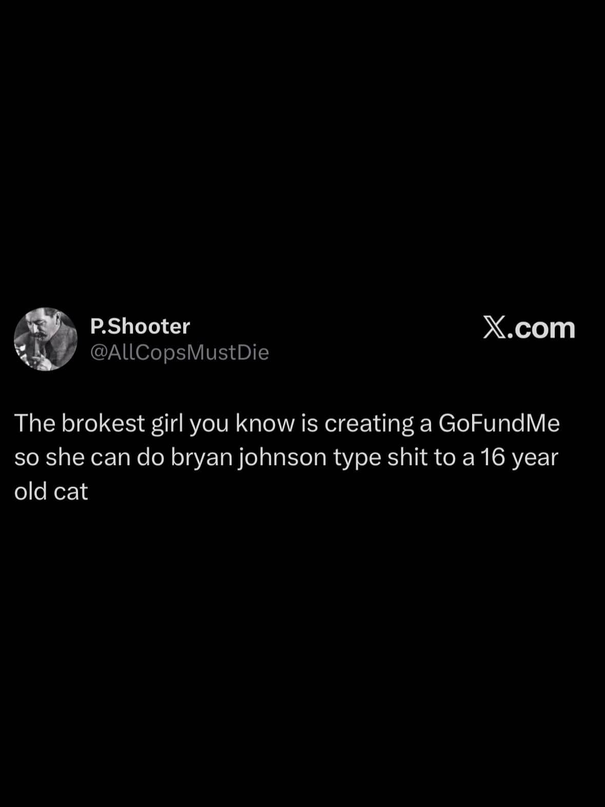 Social media joke meme about raising GoFundMe funds to extend an old cat's lifespan.