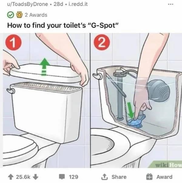 Illustrated diagram humorously labeled finding toilet G-spot showing hands opening tank and pressing flapper.