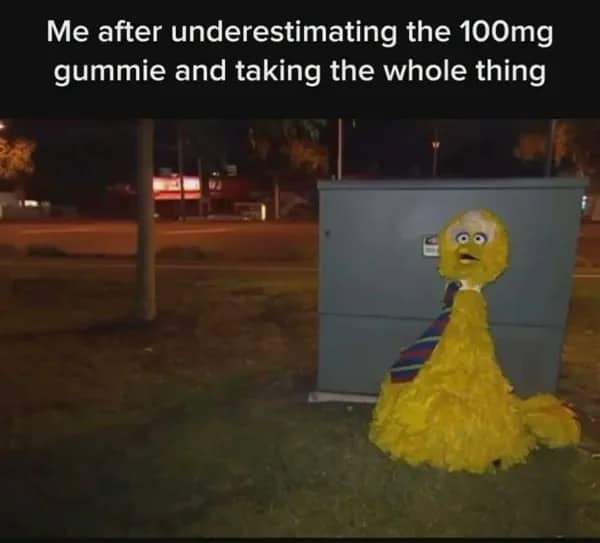 Relatable meme featuring Big Bird sitting outdoors late at night after taking an edible.