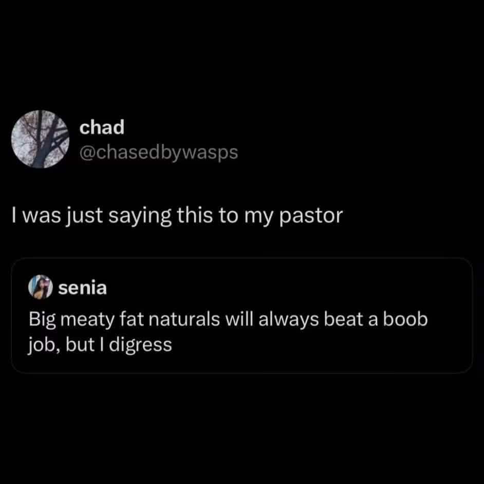 Humorous Twitter meme showing a user claiming they just shared a wild opinion with their pastor.