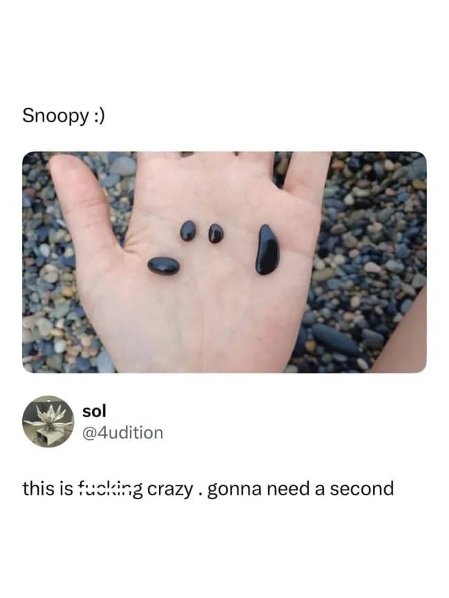 Hand holding small dark pebbles arranged to resemble Peanuts character Snoopy face funny meme.