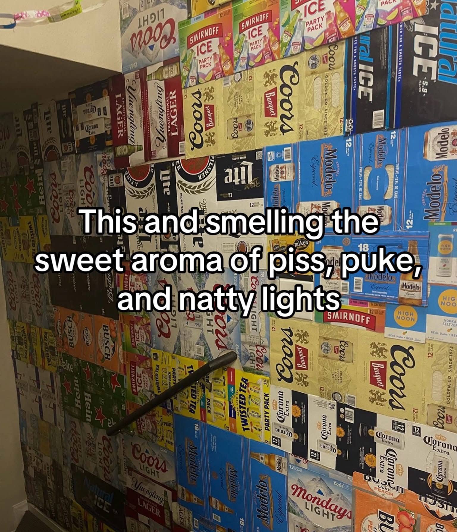 Wall covered in beer box cardboard cutouts meme poking fun at messy college party rooms.