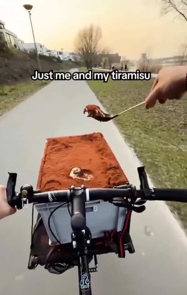 Funny cycling meme featuring a person riding a bicycle with a massive tray of tiramisu.