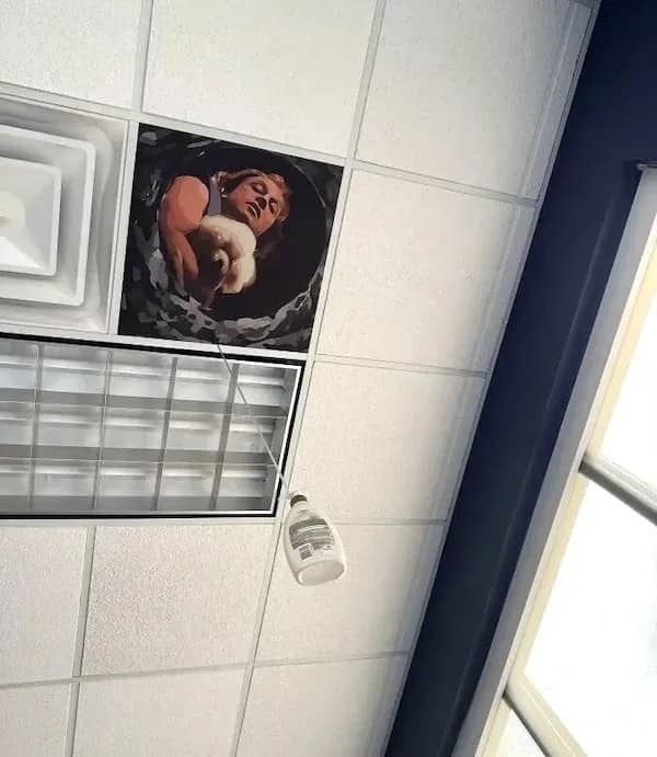 Prank meme showing a lotion bottle suspended from an office drop ceiling tile picture.