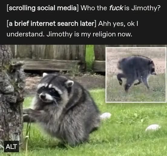 Funny raccoon pictures on grass with social media text caption worshipping Jimothy memes.