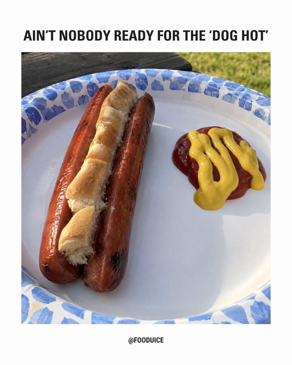 Single bread bun placed between two hot dogs on paper plate labeled dog hot meme.