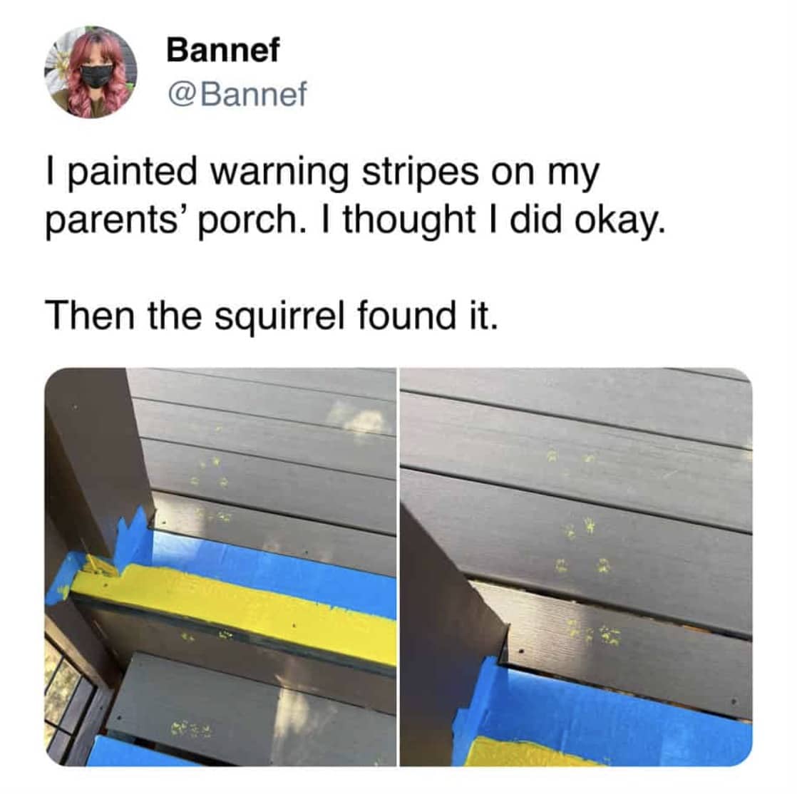 Yellow paint paw prints on porch steps left by squirrel tracking wet paint funny meme.