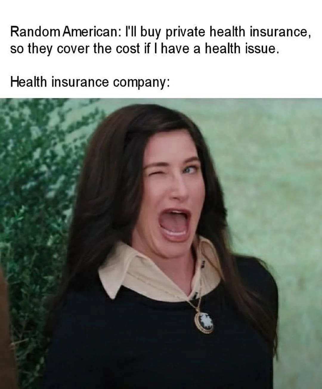 Agnes Harkness winking meme lampooning American private health insurance companies rejecting coverage.