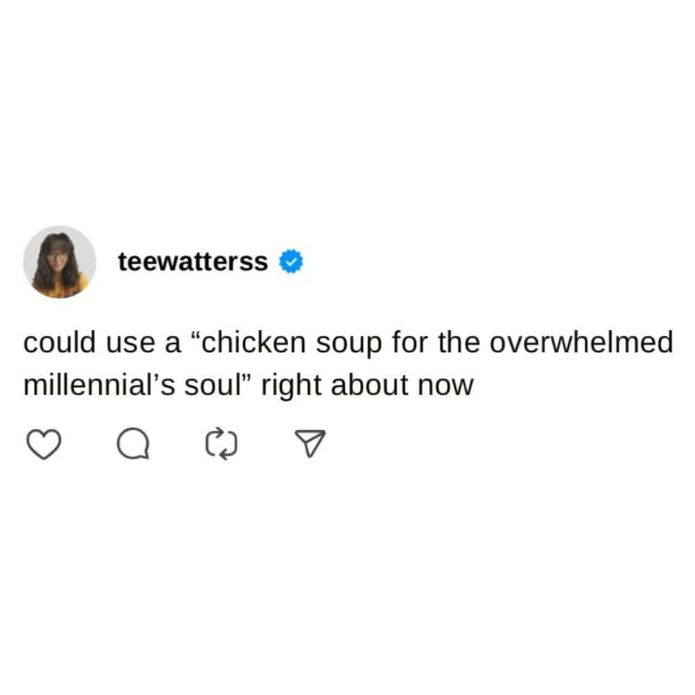 Relatable millennial meme requesting chicken soup for the overwhelmed adult soul on social media.