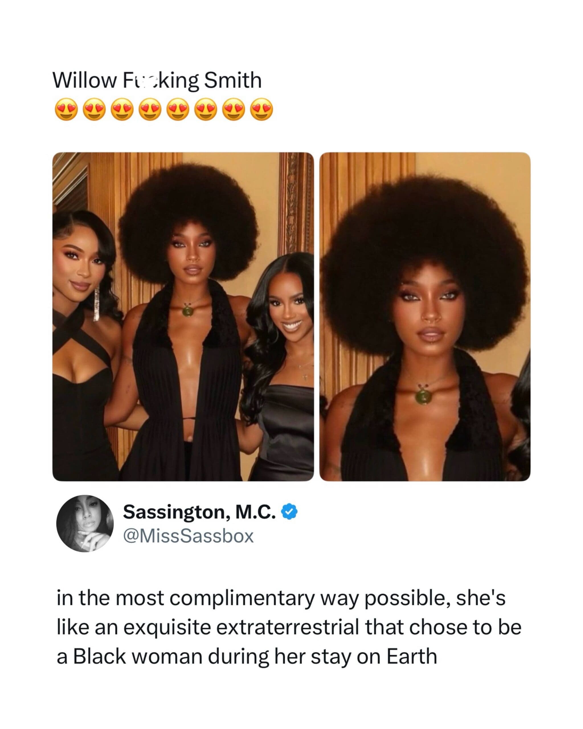 Viral social media commentary meme praising photos of Willow Smith looking stunning funny memes.