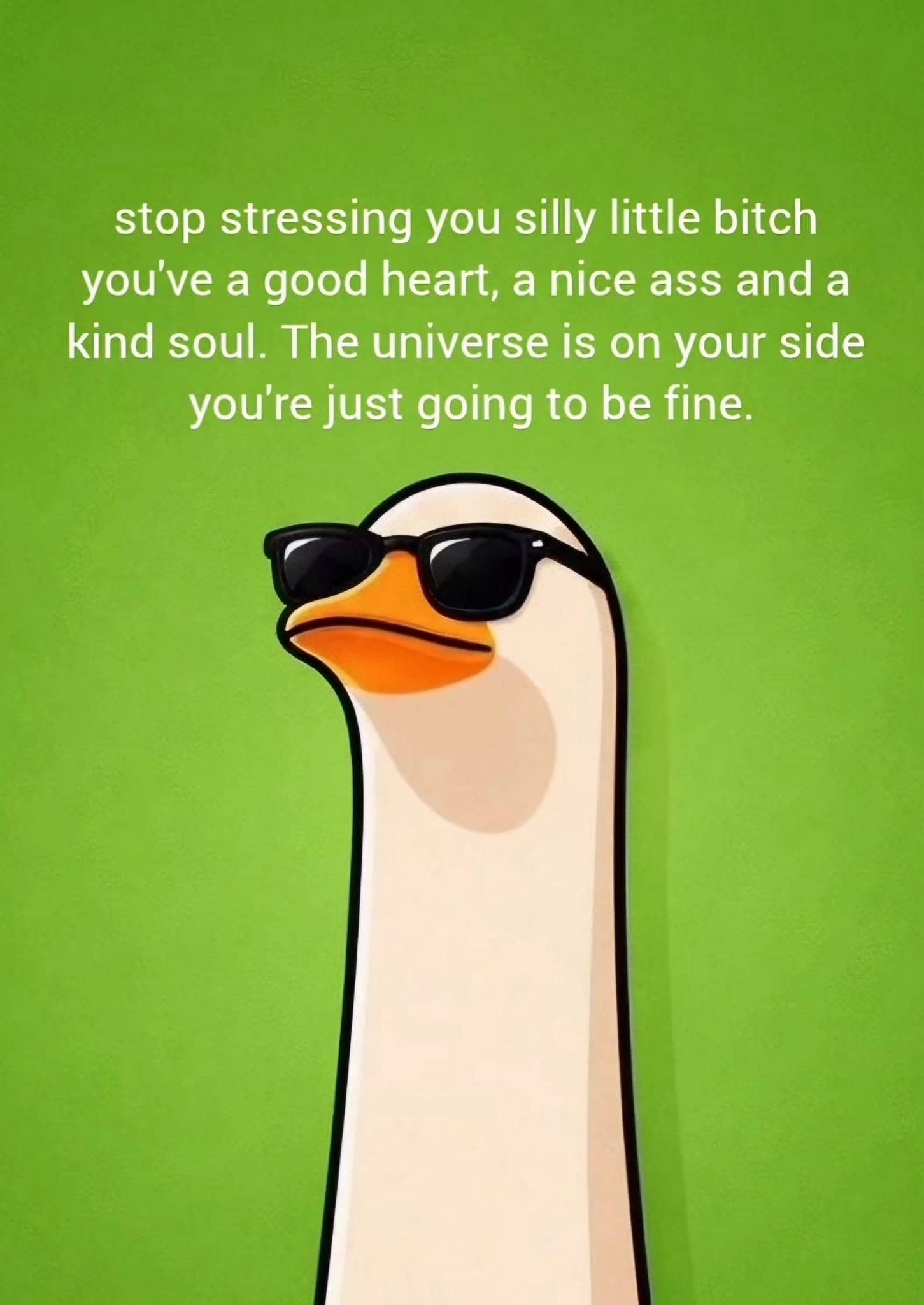 Cool duck wearing sunglasses meme with an encouraging, humorous message telling the reader to stop stressing.