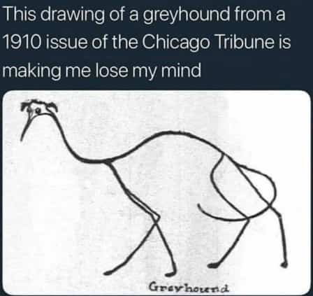 Simple stick figure drawing of a greyhound dog from a vintage 1910 newspaper article funny memes.