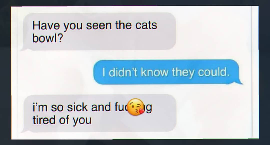 Funny text message exchange meme showing bad pun about cats bowling and annoyance.