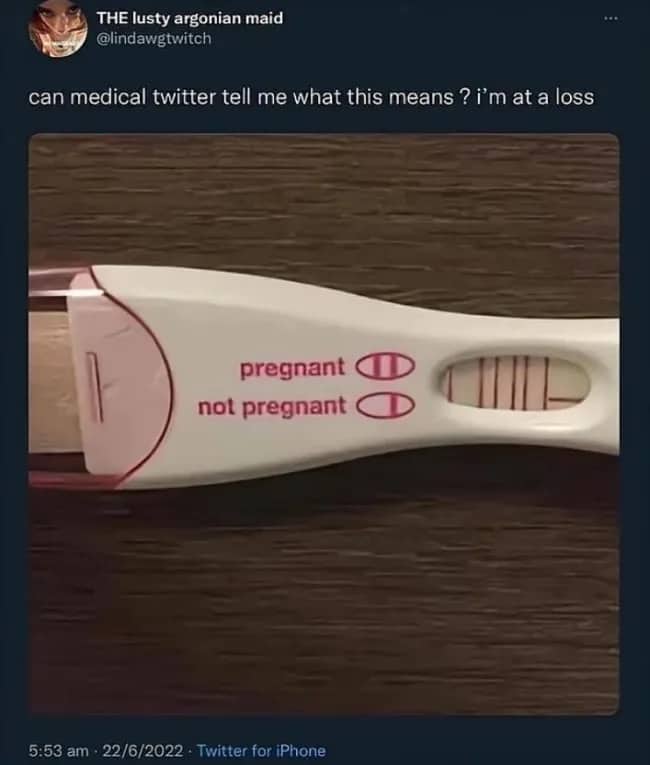 Pregnancy test showing red lines arranged to reference famous internet Loss comic funny meme.