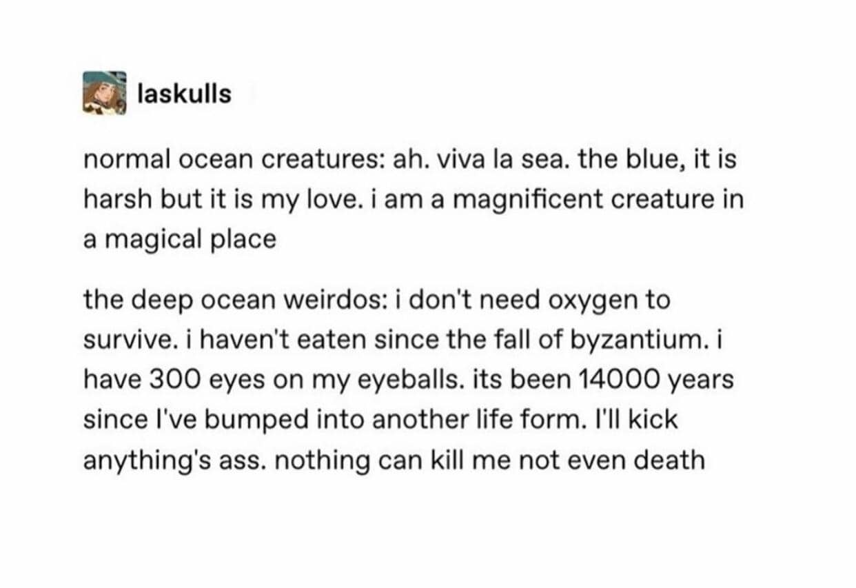 Funny social media post meme comparing normal ocean creatures to deep sea weirdos.