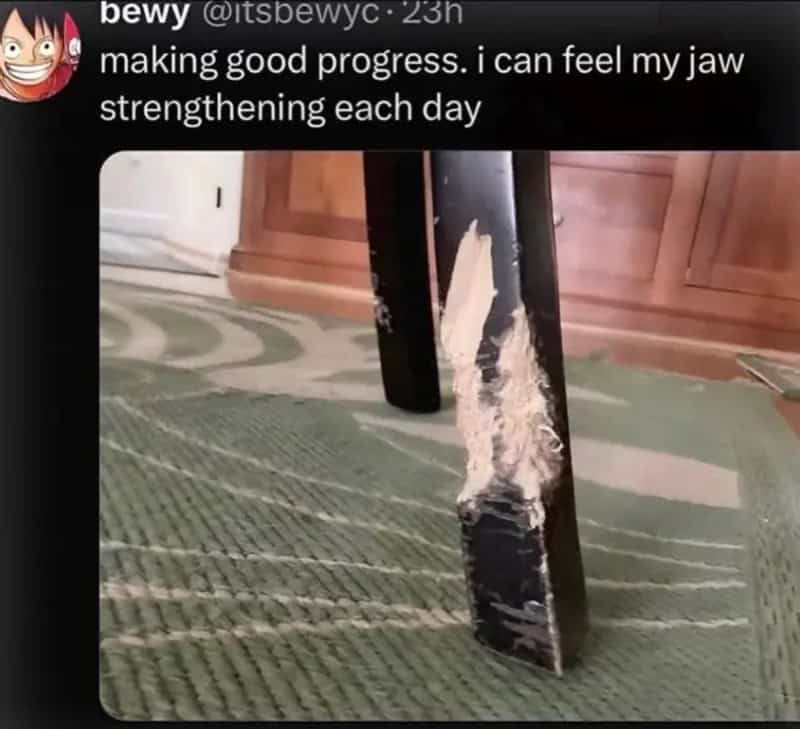 Funny meme showing wooden table leg chewed up with joke about jaw training.