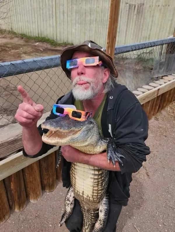 Bearded man and small alligator both wearing colorful solar eclipse glasses together funny meme.