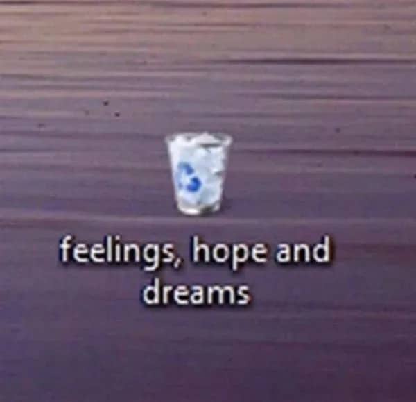 Relatable meme displaying a computer recycle bin labeled feelings hope and dreams.