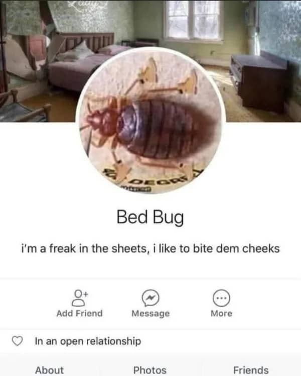 Funny bed bug social media profile meme showing bug in boots inside bedroom setting.