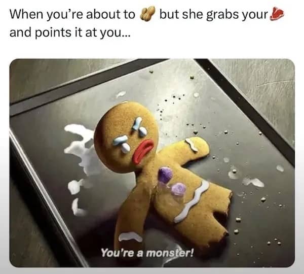 Gingerbread man from Shrek on baking sheet funny meme about unexpected intimate moments.