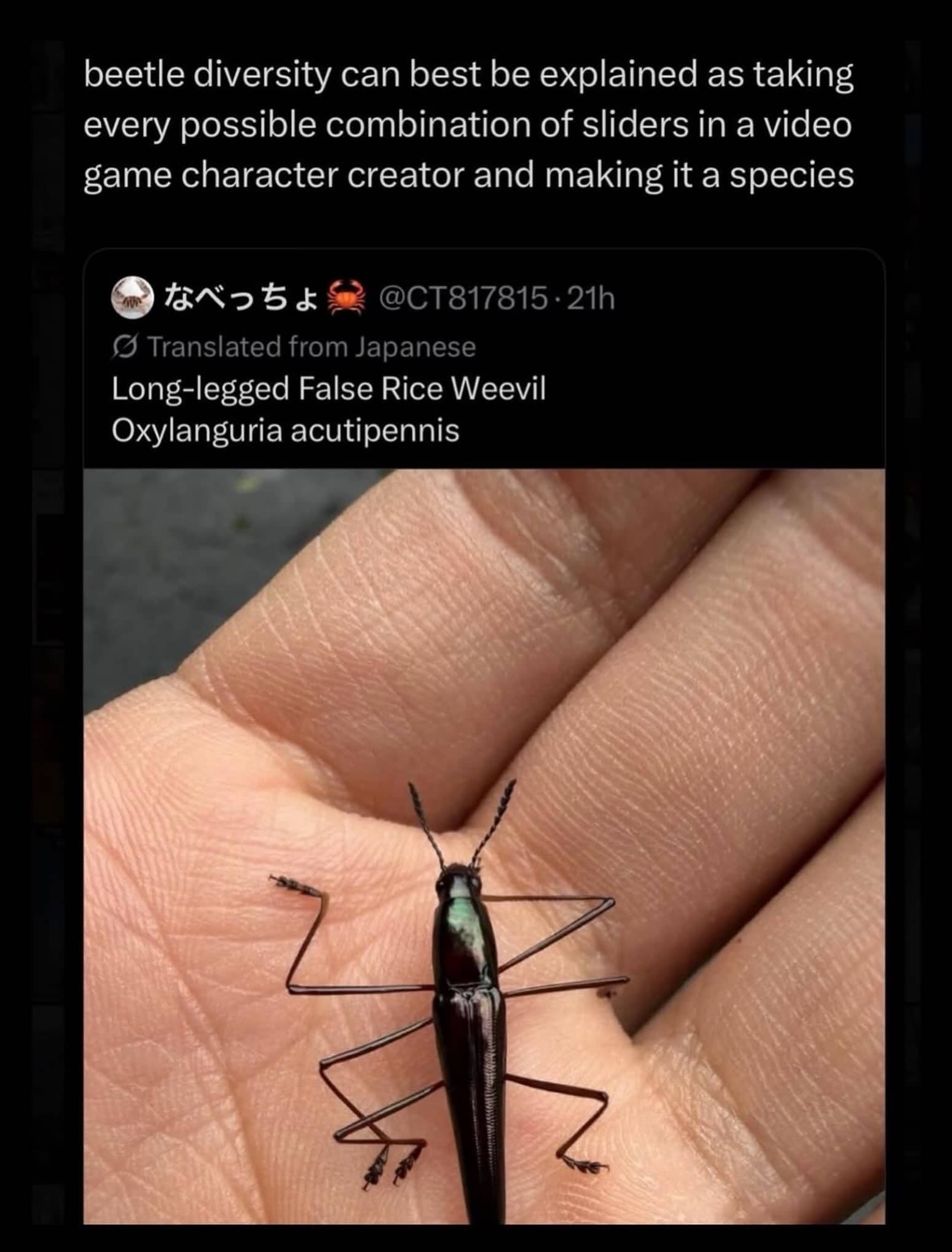 Slender beetle with long legs on hand compared to video game character creator meme.