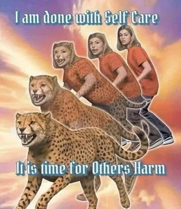 Parody Animorphs book cover showing a girl morphing into a wild cheetah funny meme.
