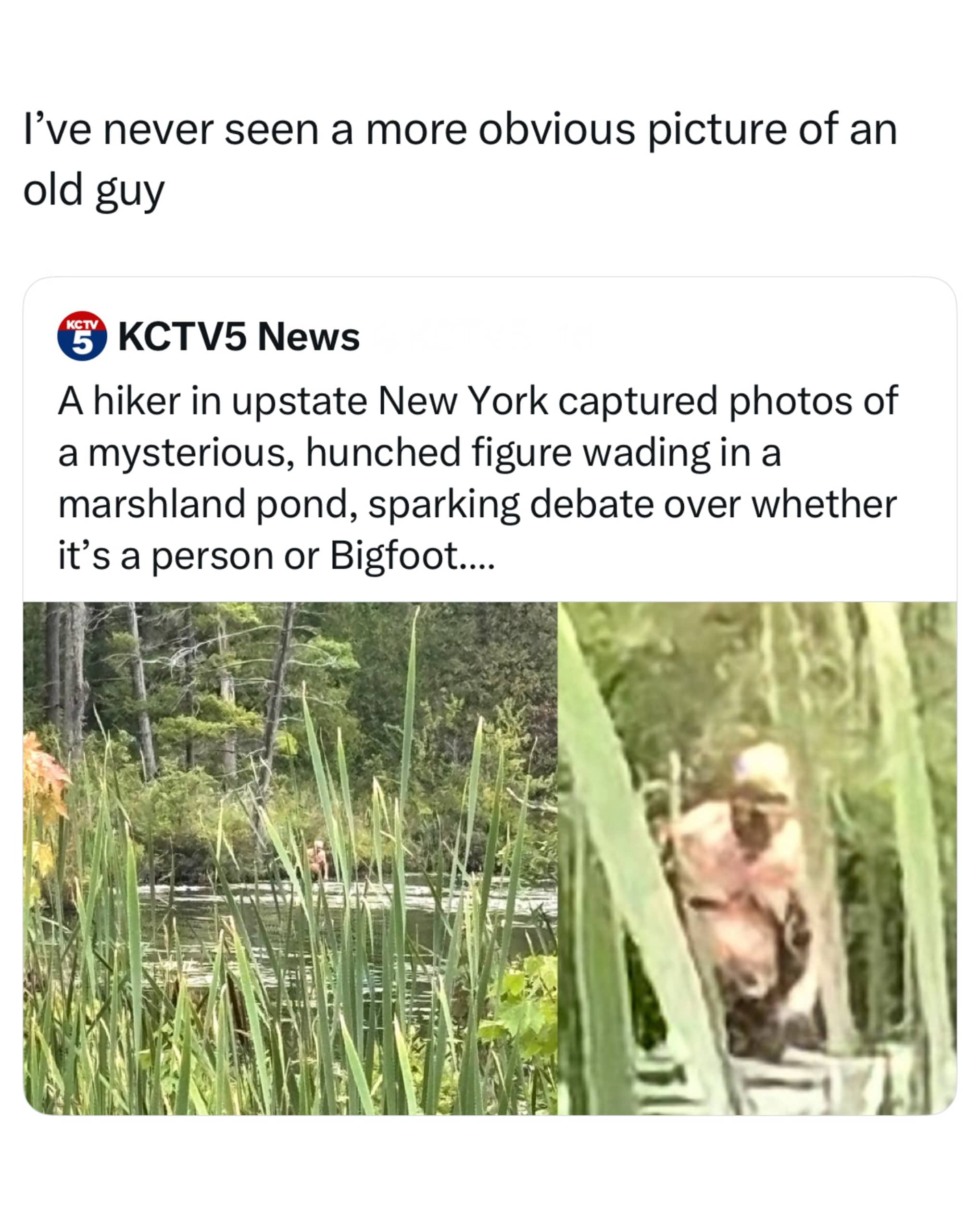 News screenshot meme showing an old man wading in a marsh mistaken for Bigfoot.