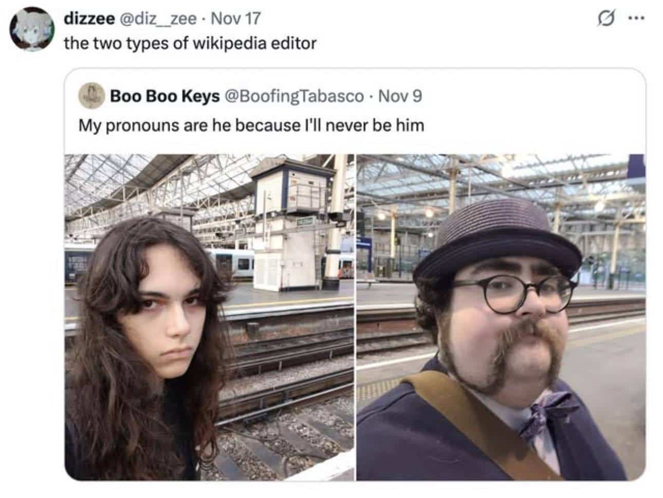 Humorous internet meme comparing two completely opposite visual styles of Wikipedia editors on platforms.