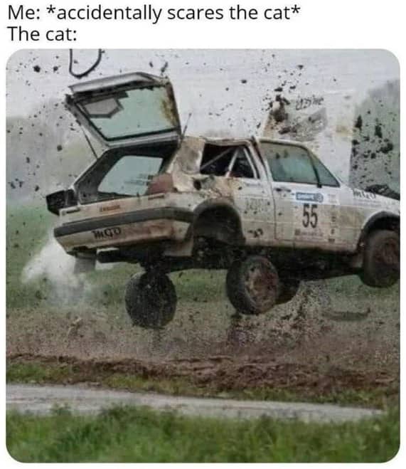 Rally race car exploding into air after mud jump, portraying a startled cat leaping wildly.