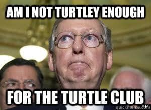 A classic Impact-font Mitch McConnell meme displaying a wide-eyed photo of McConnell under the famous Master of Disguise movie quote, "AM I NOT TURTLEY ENOUGH FOR THE TURTLE CLUB."
