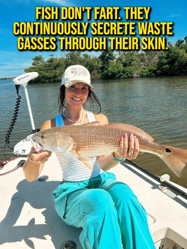 An ocean biology random fact image featuring a smiling fisherwoman holding a large red drum fish on a boat, overlayed with text explaining fish continuously secrete waste gasses through their skin instead of farting.