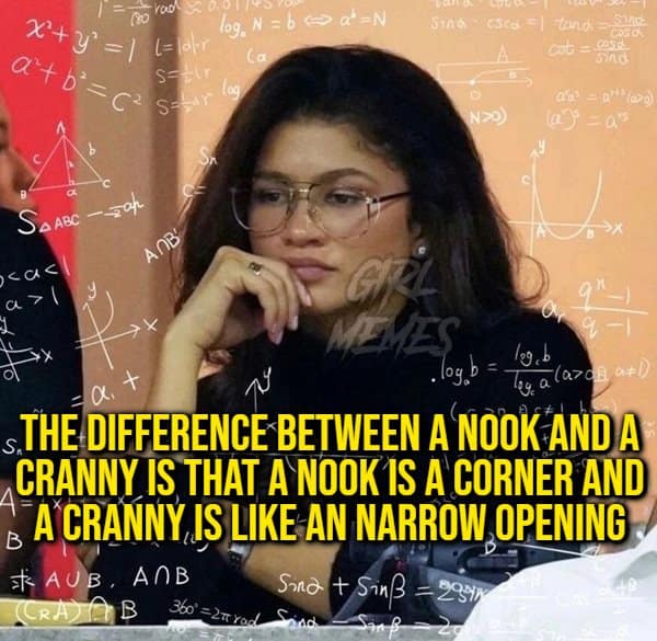 A vocabulary clarification random fact overlaying Zendaya in a math equation template to explain that a nook is a corner while a cranny is a narrow opening.