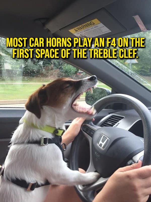 A musical auto acoustics random fact featuring a Jack Russell terrier barking furiously behind a car steering wheel, captioned with the fact that most car horns sound an F4 pitch.