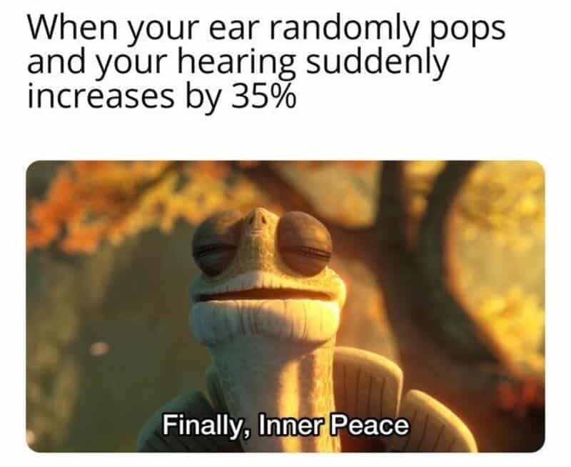 Master Oogway from Kung Fu Panda closing his eyes peacefully in a relatable meme about the overwhelming relief felt when a clogged ear pops and restores hearing.