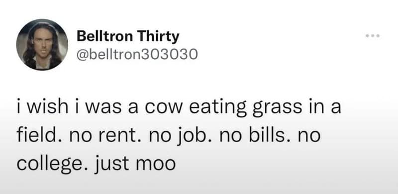Text tweet expressing the peaceful urge to escape modern adult financial responsibilities by living as a grazing cow in a grassy meadow.