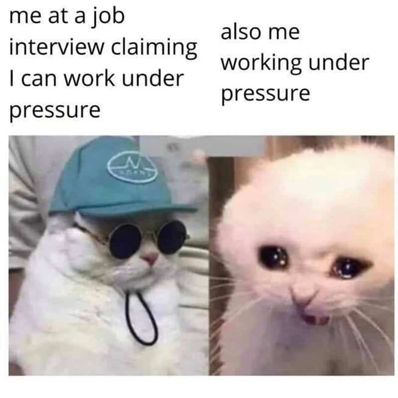 Cool cat versus crying cat side-by-side comparison representing work pressure in a retail meme.