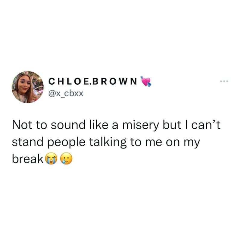 Social media text post expressing desire for absolute quiet during break in retail meme.