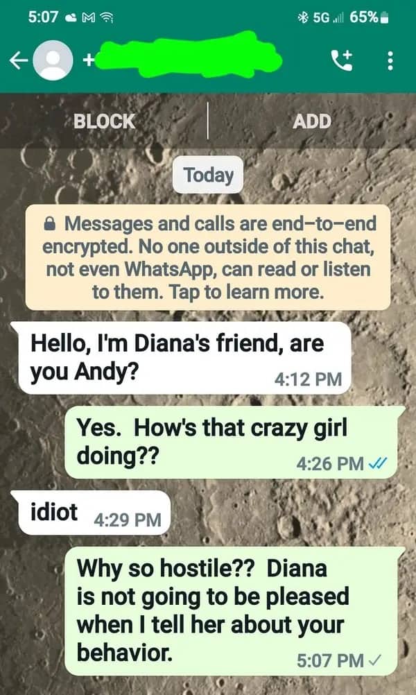 Wrong-number scam text thread where the recipient defends a non-existent mutual friend named Diana.