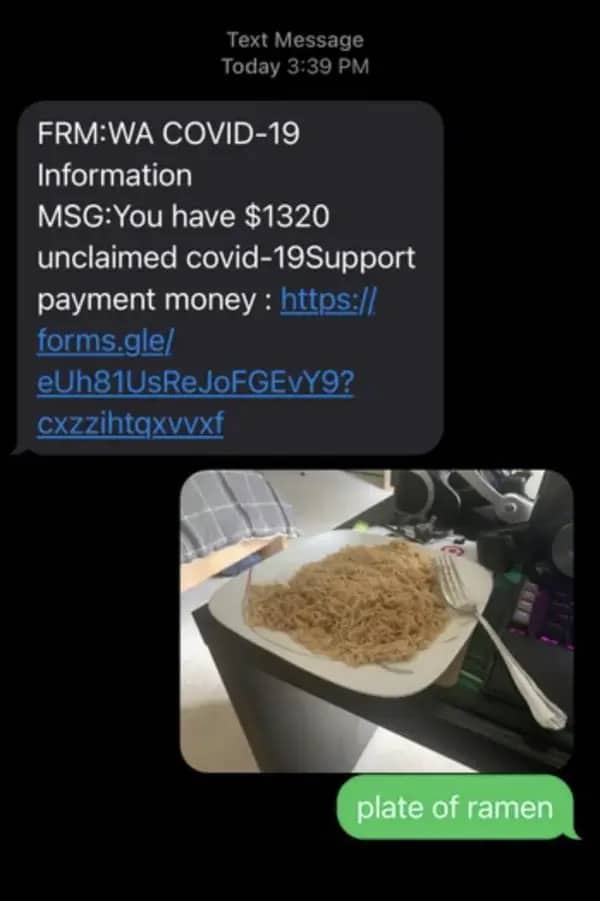 Text reply confusing a government payout phishing message by sending a plain ramen photo.