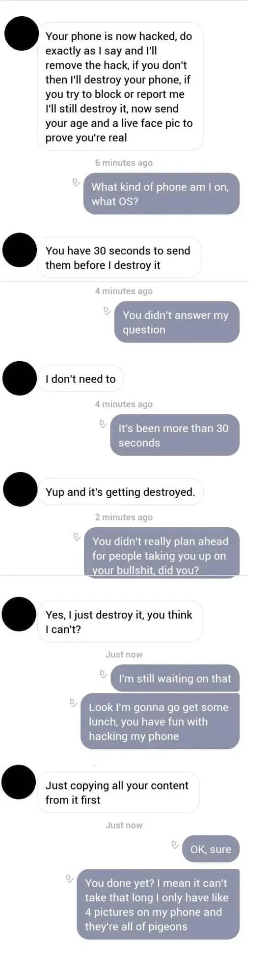 Chat exchange deflating a fake phone hacker's extortion threats using hilarious pigeon photo jokes.