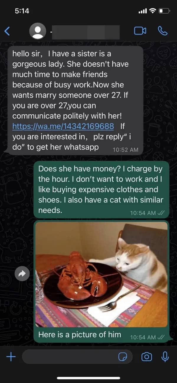 WhatsApp message trolling a bride scammer by demanding expensive lifestyle funding for a cat.