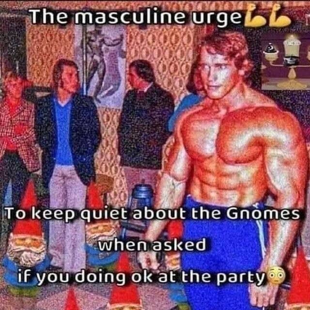 Deep-fried tripping meme featuring Arnold Schwarzenegger ignoring garden gnomes at a crowded house party.