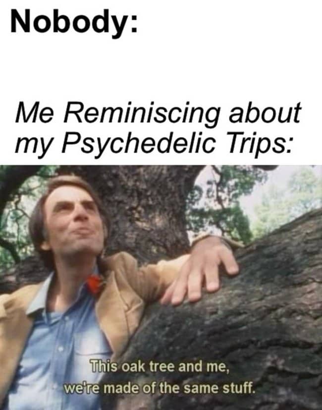 Wholesome tripping meme showing Carl Sagan hugging a tree while reminiscing about psychedelic trips.