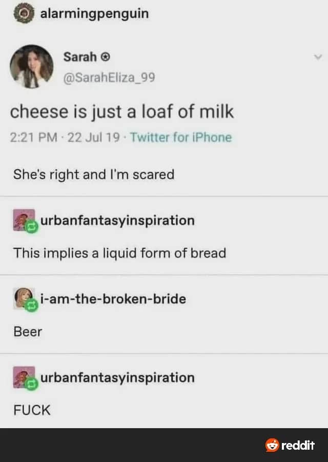 Social media screenshot arguing cheese is milk loaf and beer is liquid bread.