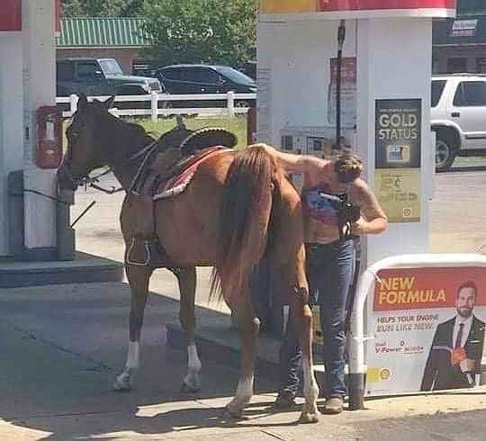 Person attempting to fill up a saddle-equipped horse at a gas station pump