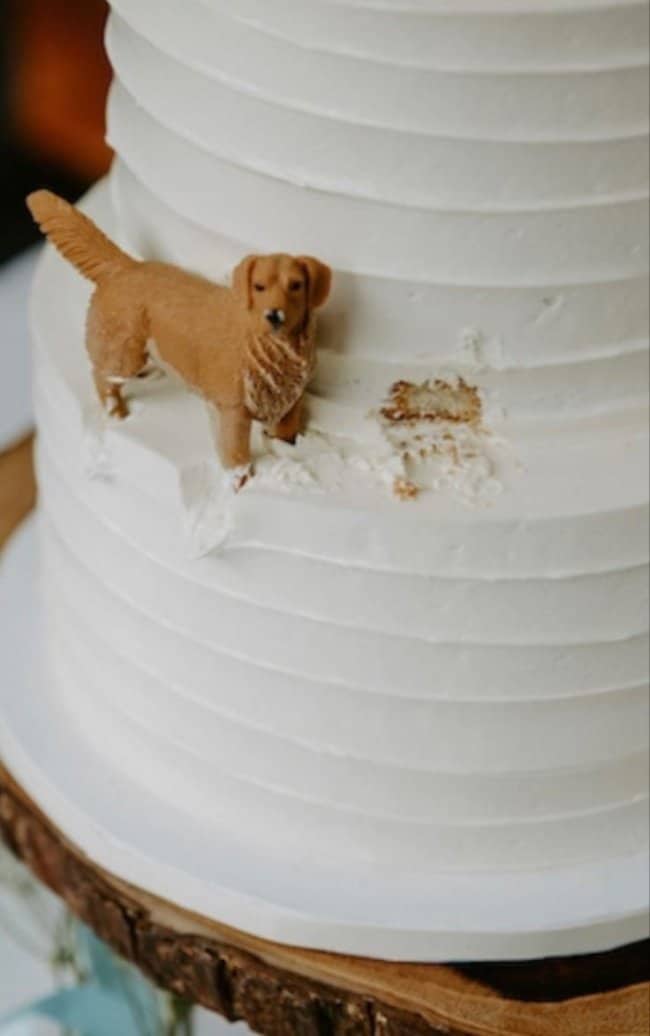 Elegant white tiered cake ruined by a miniature dog figurine taking a chunk of frosting.