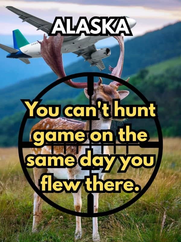 An Alaska law meme showing a deer in crosshairs with an airplane flying overhead.