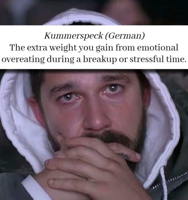 Emotional Shia LaBeouf face illustrating the German word Kummerspeck for stress eating weight gain.